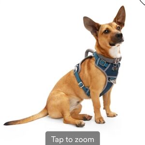 Reddy Dog Harness Size Large